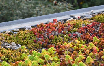 the cost of Little Bognor green roof installation