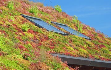 Little Bognor living roof systems