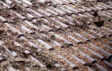 Little Bognor roof cleaning companies