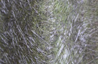 Little Bognor fibreglass roof work