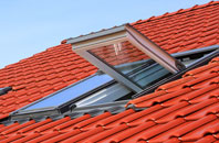 Little Bognor roof window